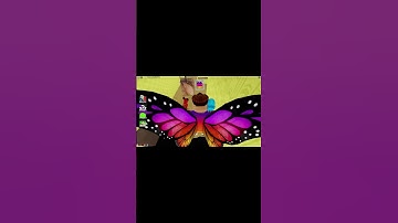 UPDATE   How To Find POLICE ROBOT DESTROYED MORPH in Find The Backrooms Morphs