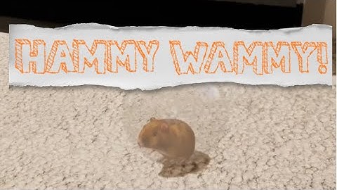 Hammy Wammy! Trailer