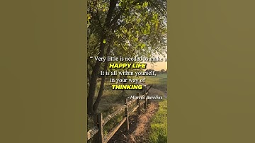 Happiness Is Already Inside You 🌿✨ | Motivational Shorts #motivation #mindsetminute #inspirational