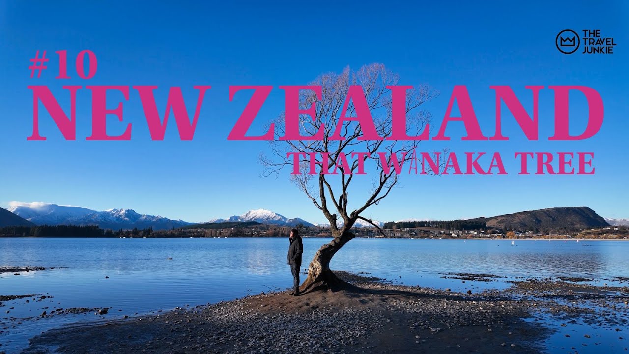 NEW ZEALAND SOUTH ISLAND | LAKE WANAKA SUNSET | THAT WANAKA TREE | NEW ...