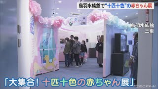 ｢成長する力強さを感じて｣　海の生き物の｢赤ちゃん｣を展示　水族館でユニークな企画展