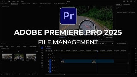 Step 2: File Management - Adobe Premiere Pro 2025