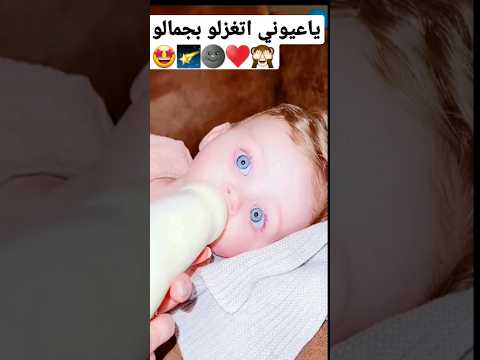 قلبى الو وهو عمر الحلو قمر