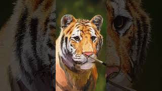 Painting a Hyper-Realistic Tiger  #satisfying #artlessons #nature @MichaelJamesSmith