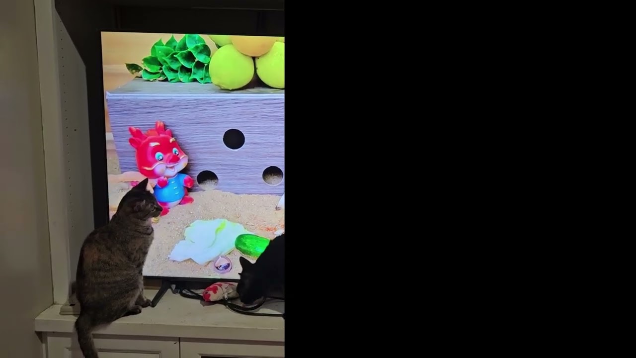 Cat TV with Bonnie   Made with Clipchamp 4