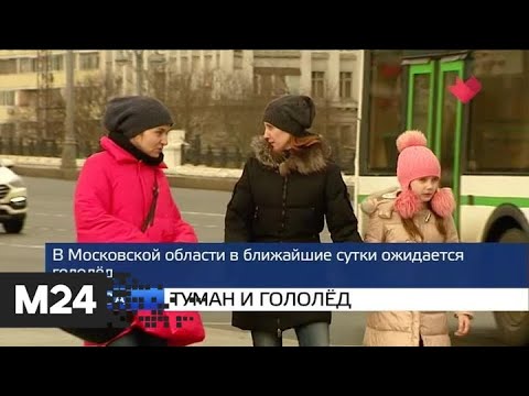 "Москва и мир": туман и гололед и штраф за вейп - Москва 24