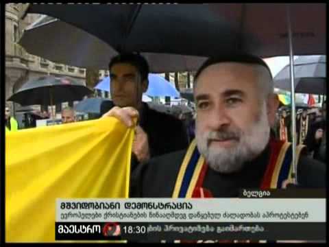 14/11/10 მშვიდობიანი დემონსტრაცია