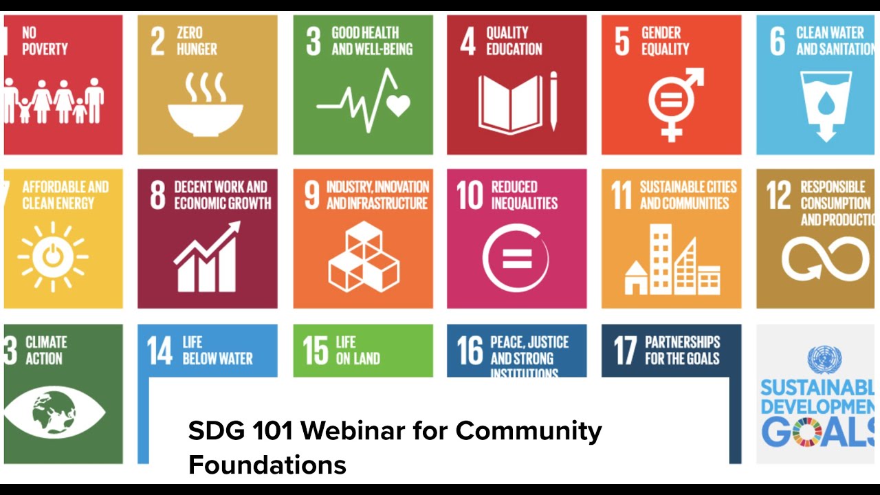SDG 101 Webinar for Community Foundations