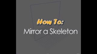 How to Mirror a Skeleton