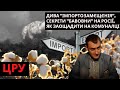 &quot;Барбовал - 2022&quot;, Блокада Калінінграду, Культурний фронт. ЦРУ #12.