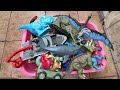 Hunting Jurassic World Dinosaur Toy ASMR: T-Rex Mosasaurus Distortus-Rex Velociraptor Shark