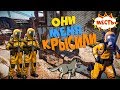 RUST - Соло Выживание. Месть Кемперам Нового Города