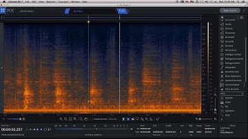 iZotope RX - Spectral Editing 1
