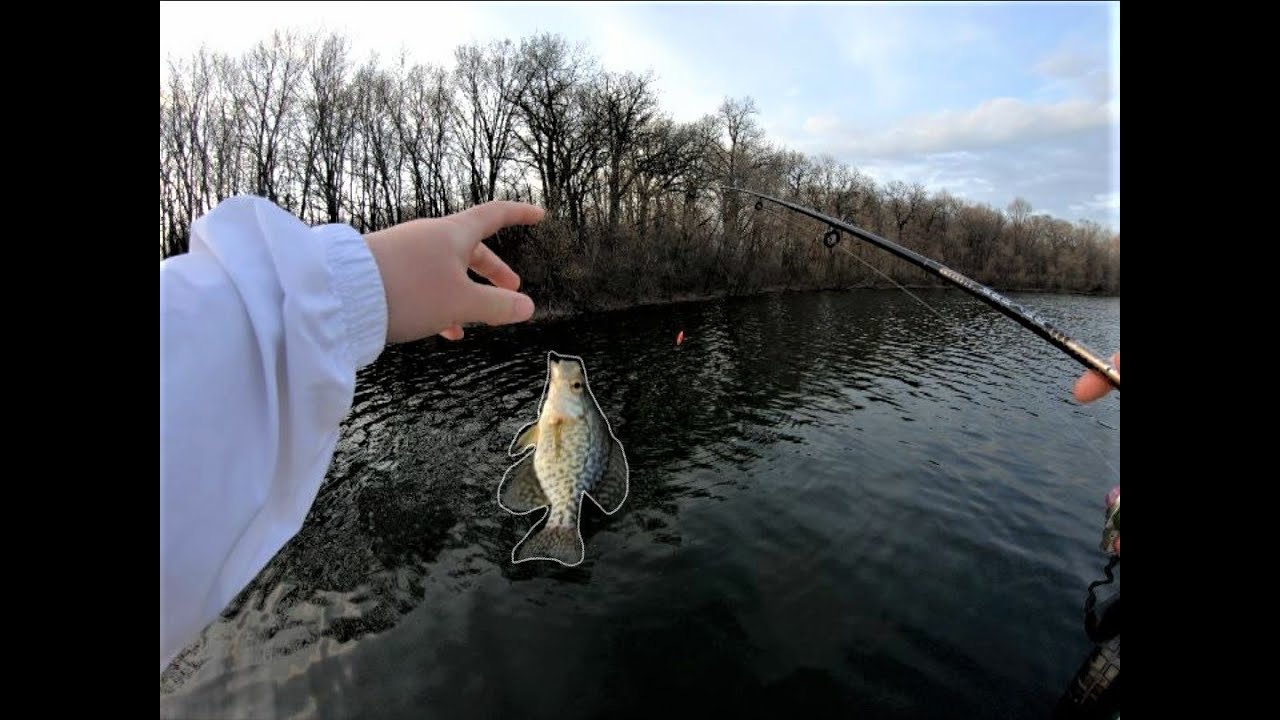 Early Spring Crappie Fishing (Dinks) MN YouTube