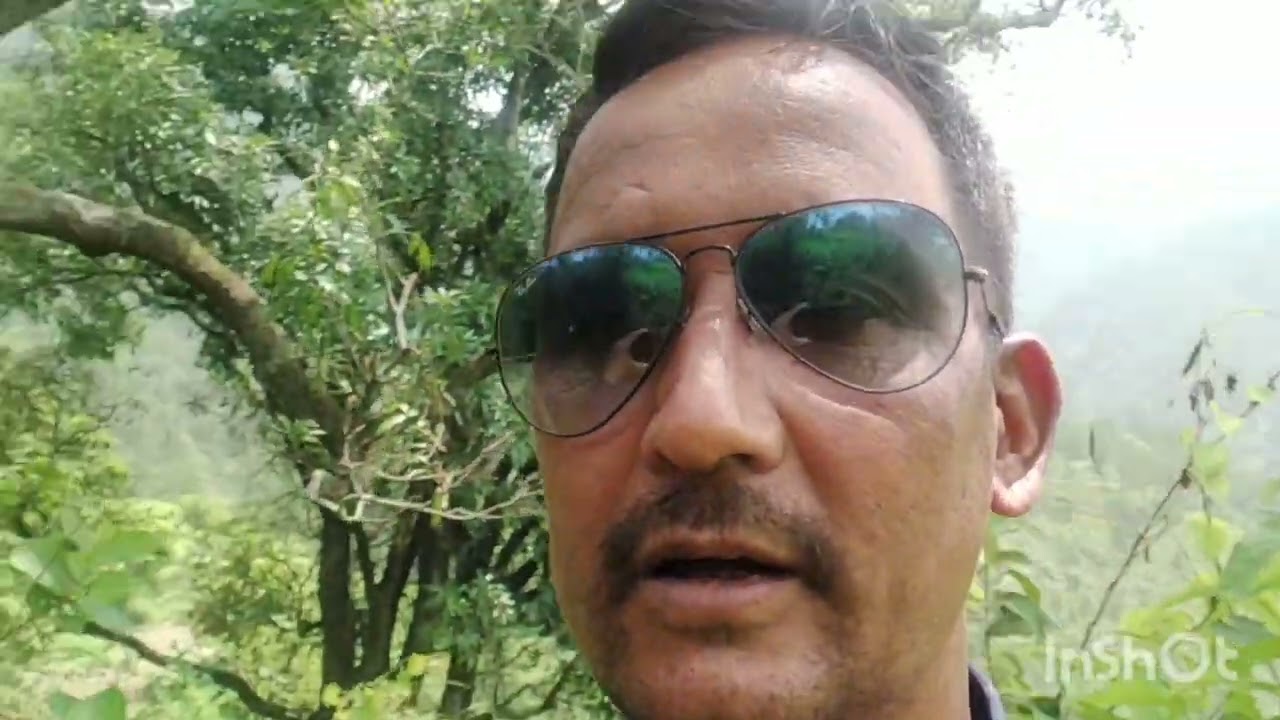 🙏🍑🍑## आजकल आम का सीजन (aajkal ka सीजन) ## @dsbhandari ब्लॉग🙏🙏🍑🍑