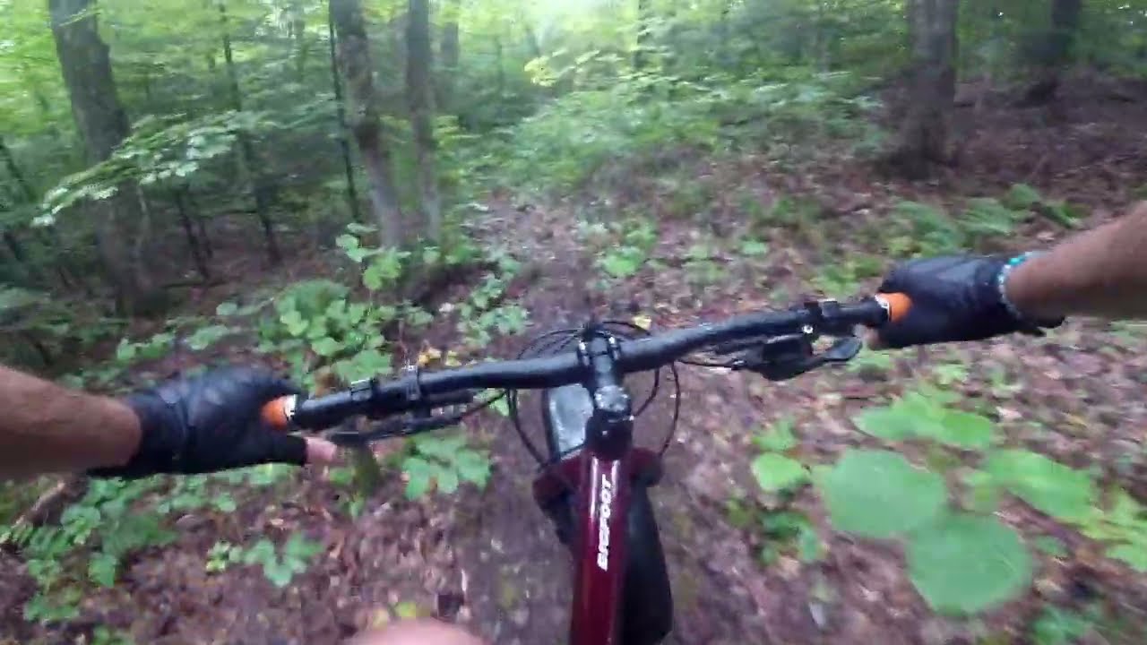 beaver meadow 2 callies 2 murphys 2 alta via august 25 2025 camera dies early because i get lost