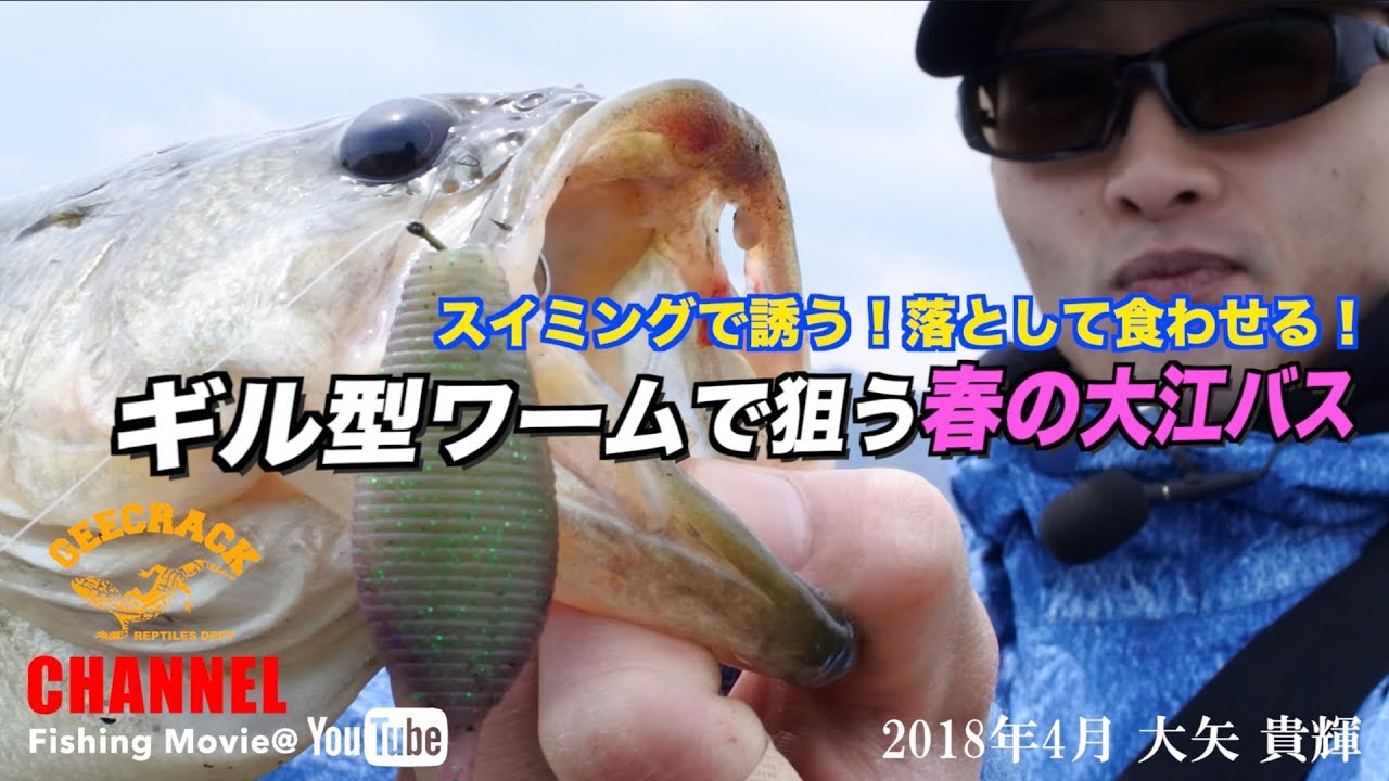 バス釣り デカバス連発 ギル型ワームで狙う春の大江バス 大江川水系 大矢貴輝 Youtube