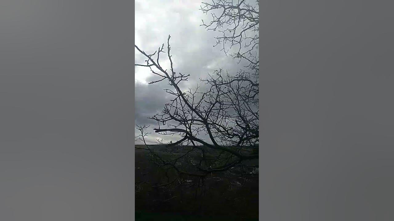 Vremea In Stefanesti Arges Vremea Stefanesti Arges 2-04-2023 - YouTube