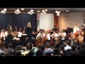 Sharvin orchestra spring 2015