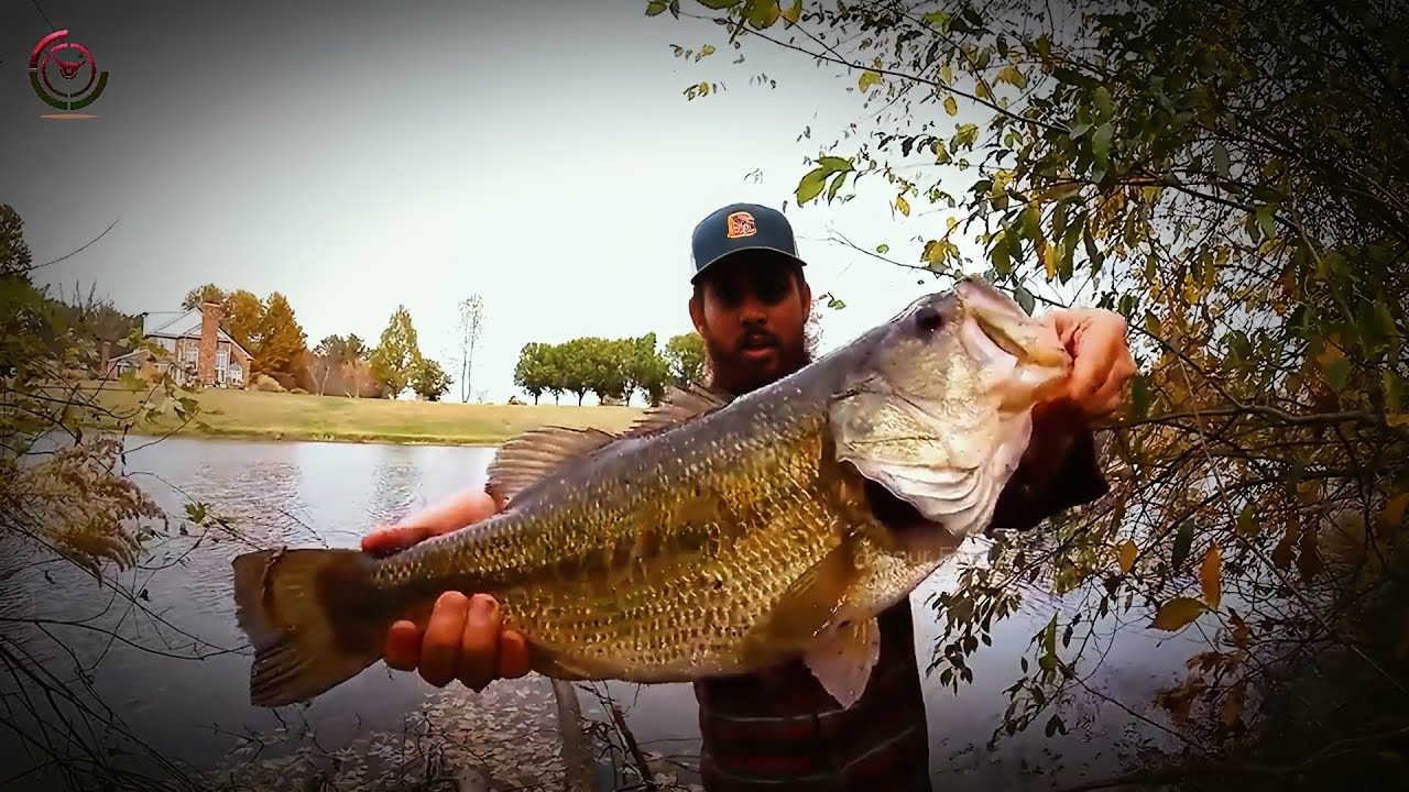 Monster Bass: Largest Catch of the Year | Let’s Go Fishing!
