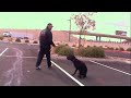 Dog Training - running on different surfaces