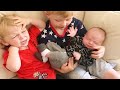 Funny Kids Meet Newborn Babies For The First Time #emotional