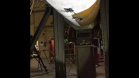 Test #6 Failure clip