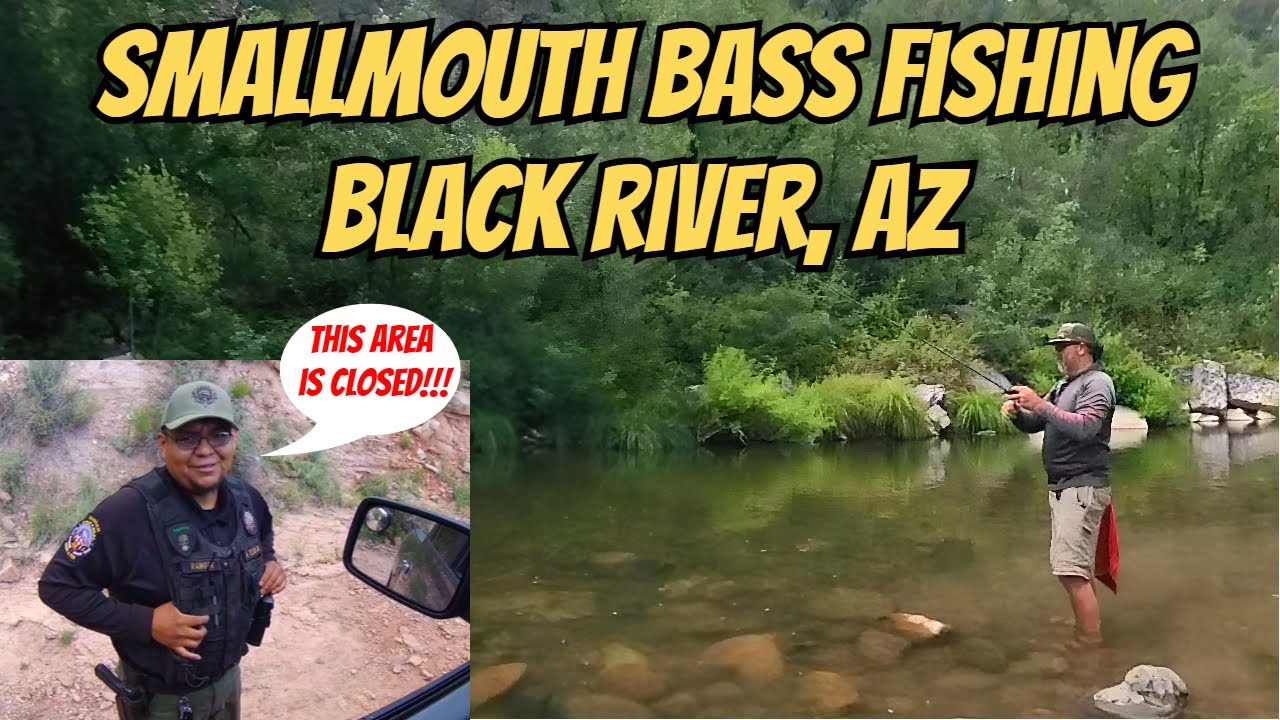 Smallmouth Bass Fishing on the Black River in Arizona