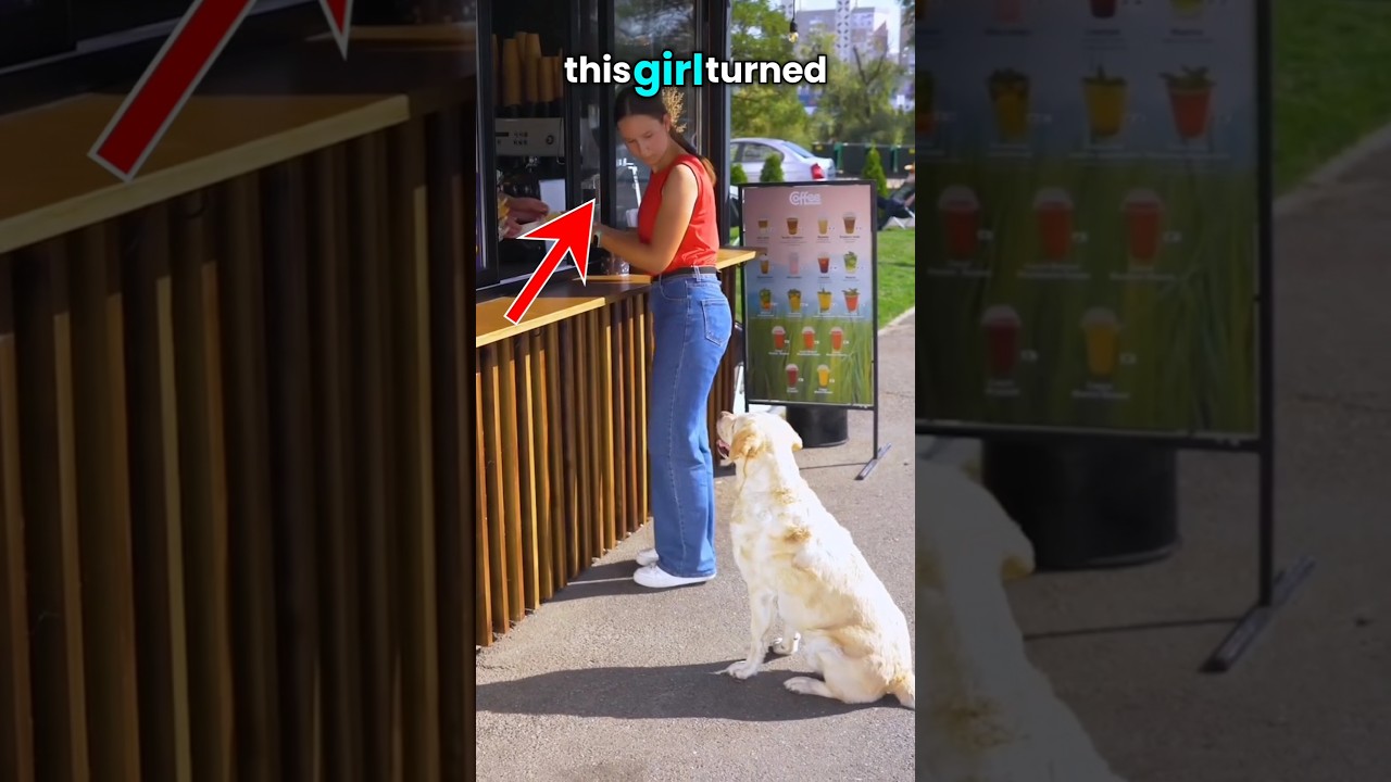 Kind dog gives food to a begger ❤️