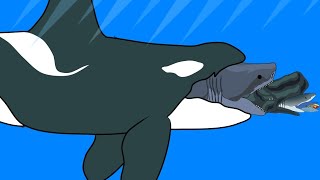 Fish Eat Fish Size Comparison - Ending Whale Eat Shark