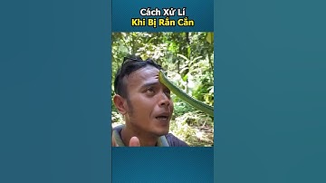 Cách xử lí khi bị rắn cắn và không chịu buông ra!!