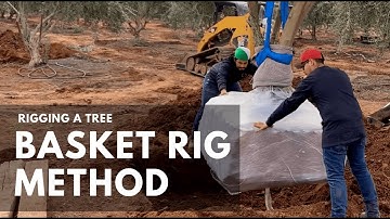 How to Rig a Tree | Basket Rig Method | Vecchio Trees