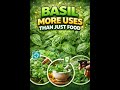 Basil: More Uses than Food