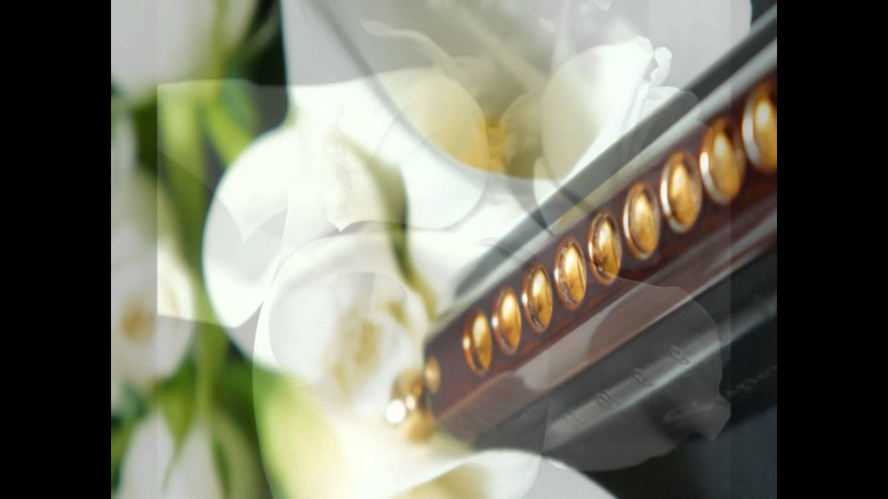 南里沙「メリッサ」クロマチックハーモニカ harmonica vaudeville