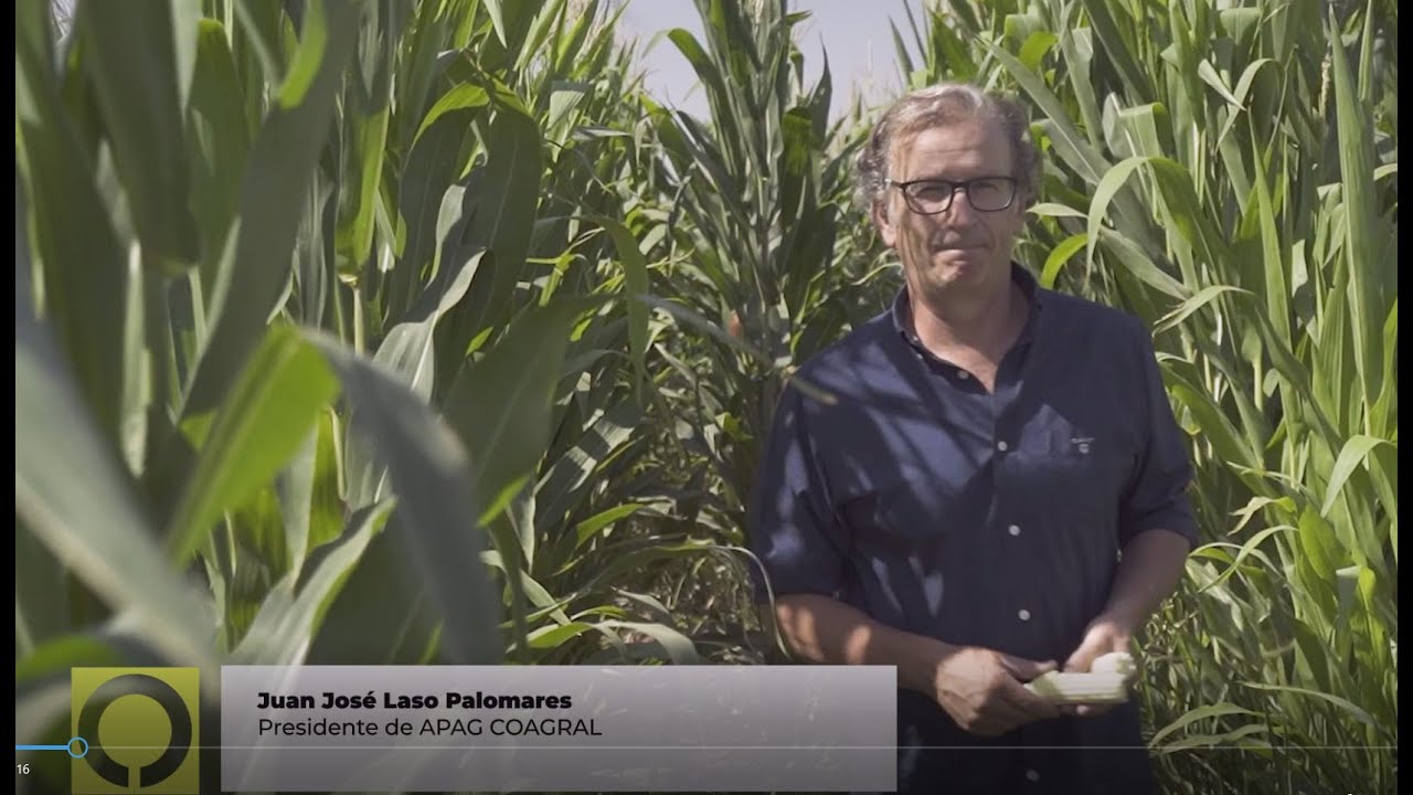 PREMIO COOPERATIVAS AGROALIMENTARIAS DE ESPAÑA 2022 al Desarrollo Rural ...