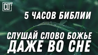 видео: Отдых после трудного дня для души и духа | Звуки природы | 5 часов Библии вечером #Библия #Relaxing картинка: Отдых после трудного дня для души и духа | Звуки природы | 5 часов Библии вечером #Библия #Relaxing