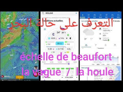 حالة البحر من التطبيق  و من    