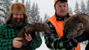 Epic Marten & Fisher Trapping Adventure in North Maine Woods with Joe Holland!