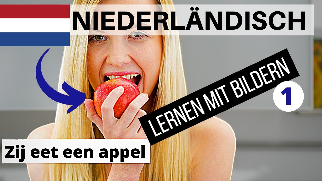 Niederländisch Lernen Kostenlos Ohne Anmeldung