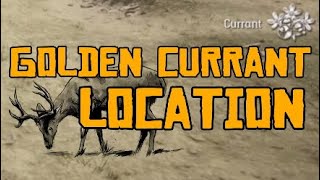 RDR2 Online - Golden Currant Location (2 Locations)