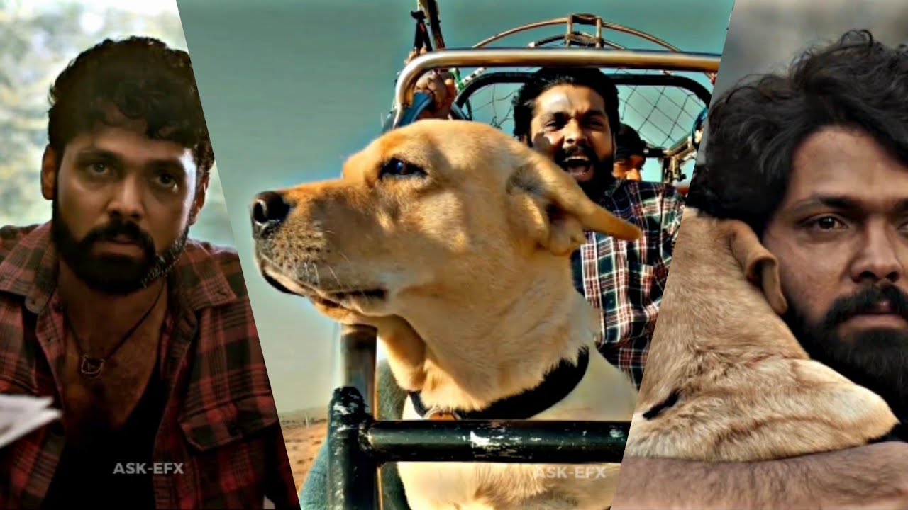 🐶Charlie 777 Malayalam WhatsApp Status || Dog Love❤️WhatsApp Status || Charlie 777 Movie✨