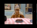 ALF Cake.