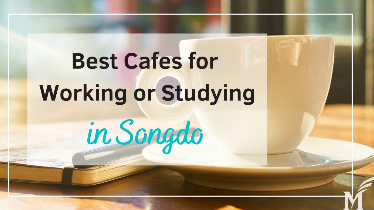 Best Cafes for Working or Studying in Songdo YouTube