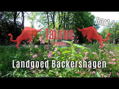 Landgoed Backershagen - Wassenaar (part 2)