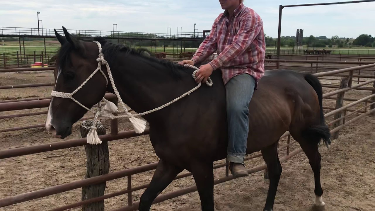 Kansas kill pen YouTube