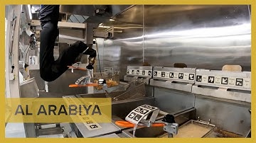 Chips making chips: Robots take over French fries production in fast food restaurants