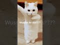 ??