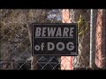 Rez Dogs - The Documentary
