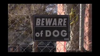 Rez Dogs - FULL DOCUMENTARY - NATIVE AMERICAN FILM