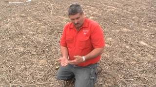 Target Soil Temps For Safe Planting